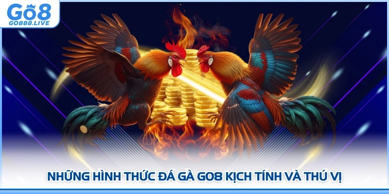 Những hình thức Đá gà GO8 kịch tính và thú vị